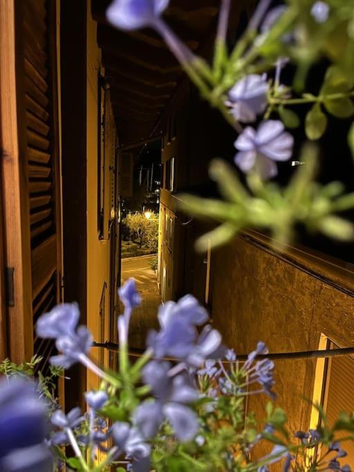 La Piccola Casa Al Lago - Intera Casa Con 3 Camere E 2 Box Salò Exteriér fotografie