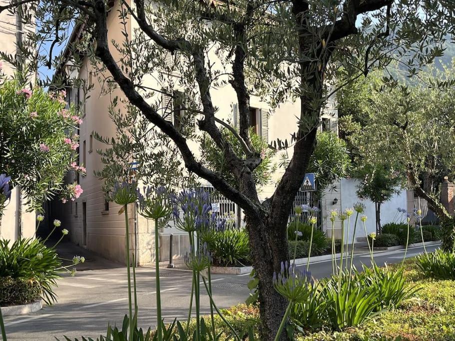 La Piccola Casa Al Lago - Intera Casa Con 3 Camere E 2 Box Salò Exteriér fotografie